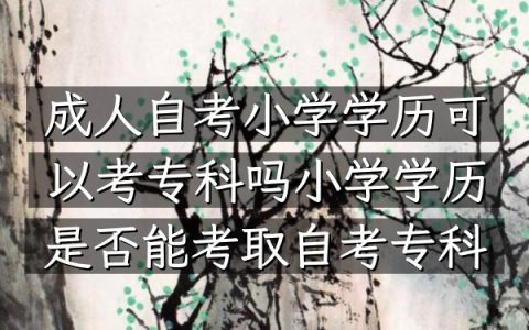 成人自考小学学历可以考专科吗（小学学历是否能考取自考专科）