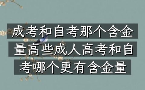 成考和自考那个含金量高些（成人高考和自考哪个更有含金量）